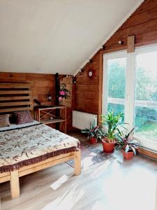 NESTIA The Phoenix Nest of Your Soul