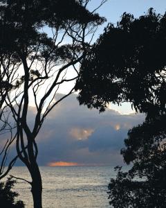 Shelter Malua Bay