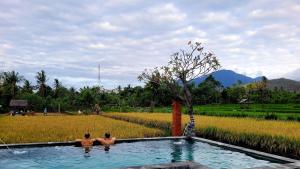 Umma Bali Menjangan Retreat