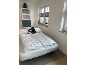 Haus Pröse mit 2 Ferienwohnungen, 15 Minuten zur Ostsee