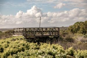 Kelkiewyn in Yzerfontein