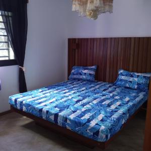 Appartement M1,M2,M3