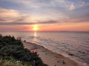 Oleandro - Castelsardo img14