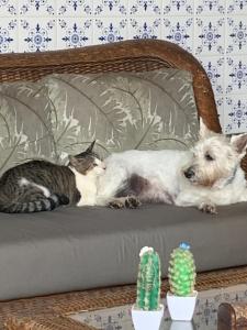 Hotel Pousada Casuarinas