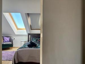 Oldtown Magic Cityhub