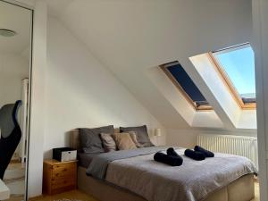 Oldtown Magic Cityhub