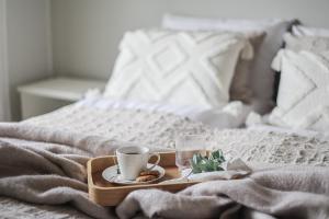 Luminous Lapland Rovaniemi By BookLapland