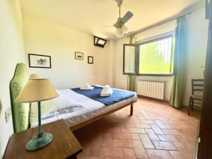 Agriturismo il Pino - Bioagricoltura