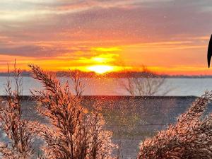 4 person holiday home in Gråsten-By Traum