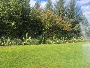 Przystanek Osłonin- całoroczny dom na wynajem