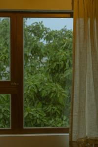 Dao House Da Nang - Near My Khe Beach