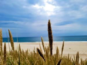 Seaside Retreat with Sauna - By Traum Ferienwohnungen