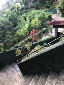Laaya Kandy