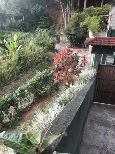 Laaya Kandy