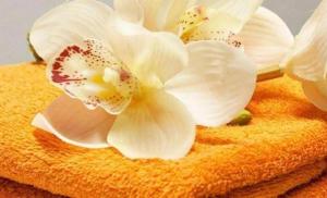 Villa Regale B e B Country House