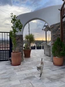 Cueva con vistas a Sierra Nevada en Alcudia de Guadix