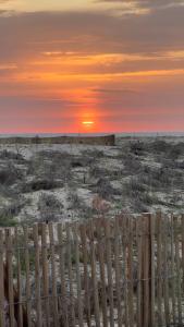 Appartement 2 à 4 personnes à 50m de la plage