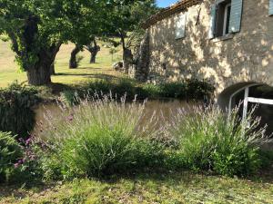 la bergerie de Haute Provence