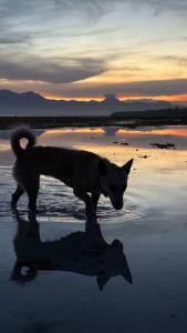 Nowhere Siqujor Hostel