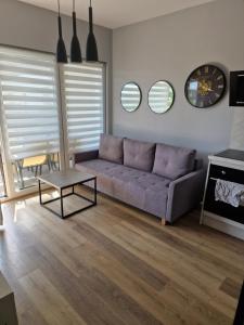 Apartament dworska Brzezno