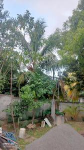 Deluxe homestay
