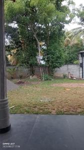 Deluxe homestay