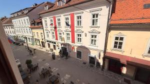 Apartments KrAnJ - City Studio Katka 