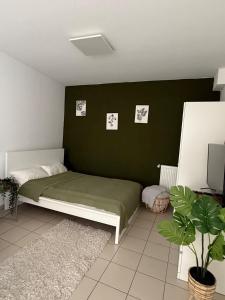 Tropical Room Modern Cozy