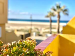 Apartamento Tortuga Carey