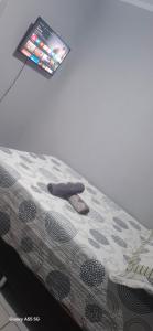 Studio 42 próximo a UFT e Praias