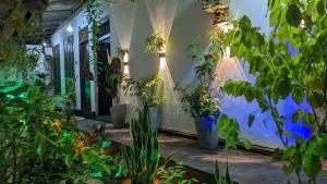 MPS Paradise villa
