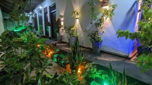 MPS Paradise villa