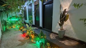MPS Paradise villa