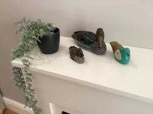 The Studio, spacious riverside property in Ludlow with private parking