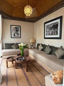 Riad privé Sadaka Bassin Rooftop