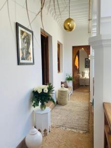 Riad privé Sadaka Bassin Rooftop