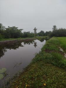Inapan eynaman