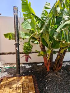 Sunrise Surf House, Big Garden, Hot Tub, Parking, super-fast free Wi-Fi