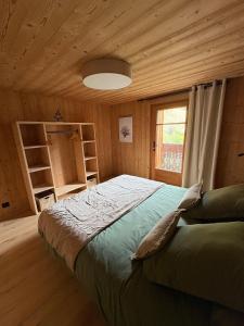 Appartement neuf dans chalet à Montriond, entre Lac & Ski !