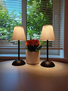 Cosy apartment in the heart of Riga