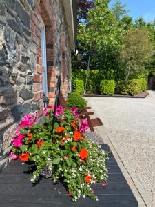 The Cottage Bailieborough Cavan