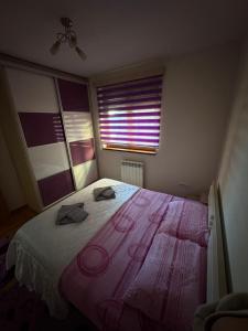 Ristic apartmani