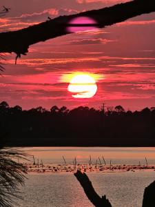 Villa Laguna by Pristine Properties Vacation Rentals - 4hvězdičkové hotely ve městě Indian Pass