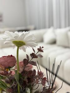 شقق ViP فاخرة للعائلات