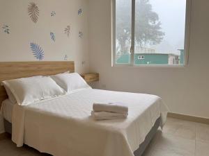 Forest 15 minutes from Manta! Beach nearby