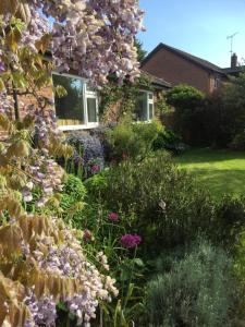 Charming Annexe in Rural village