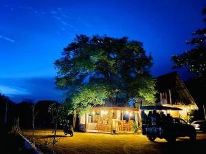 Lenama Wild Holiday Resort