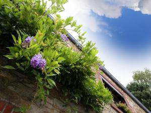 Modern Spacious Holiday Home