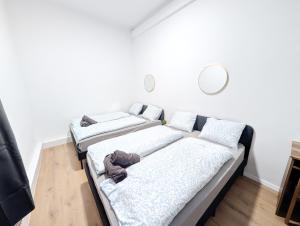 Spacious Apartment for Group Stays - 15 Min from Airport & City Center, 5 Min from Vienna Main-Bus Station EZ11
