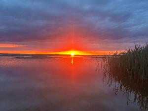 Teeveere Summer House